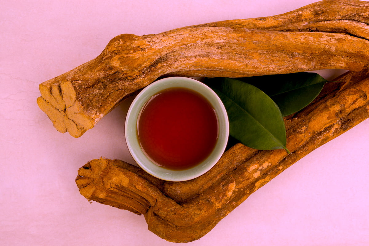 Un rapport révèle la prévalence de l'usage de l'ayahuasca