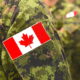 Le Canada lance un programme de recherche sur les psychédéliques à l'intention des vétérans